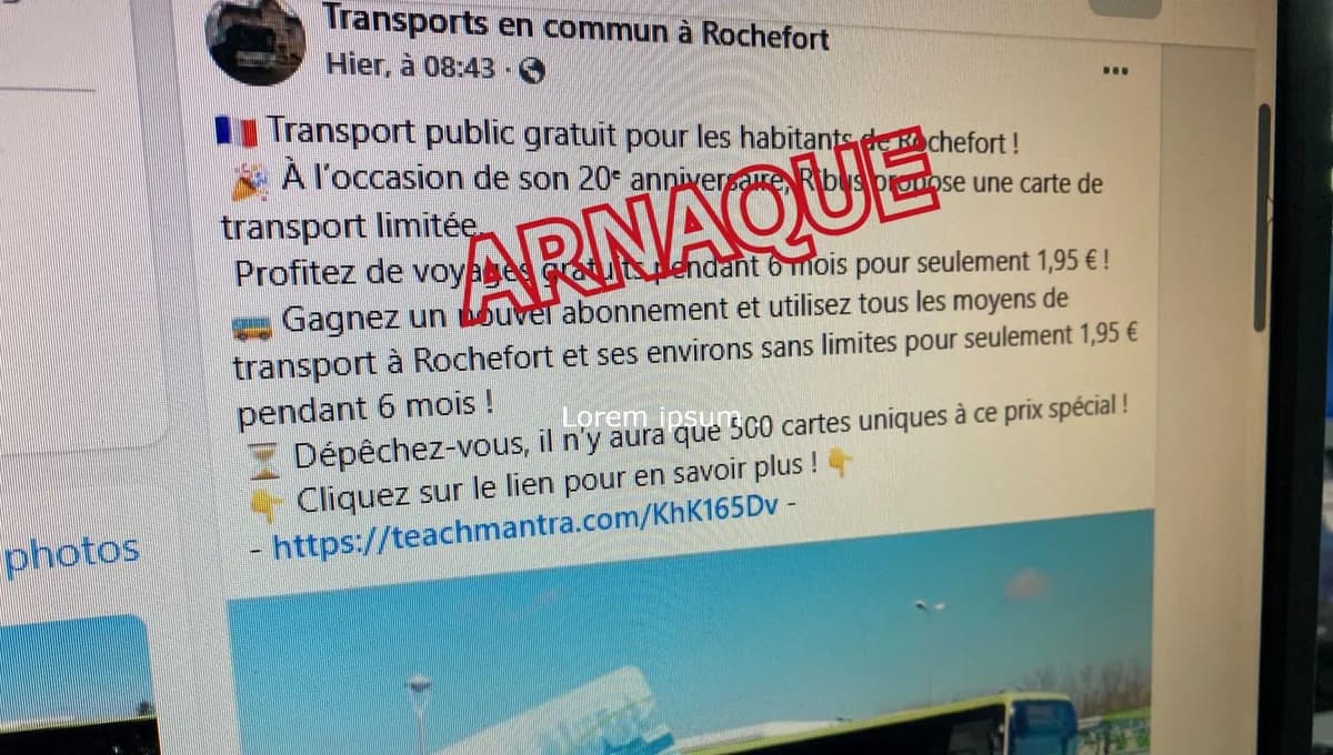Free transport, stolen data: the scammers travel first class